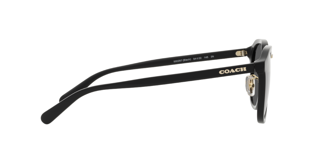 Солнцезащитные очки Coach CH577 HC8366 500287