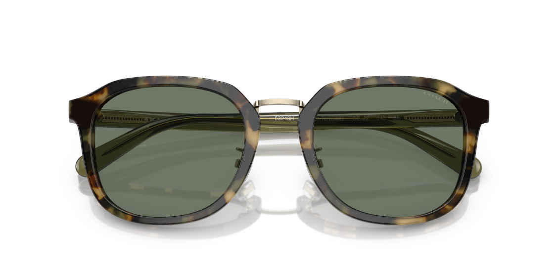 Солнцезащитные очки Coach CH577 HC8366 53243H