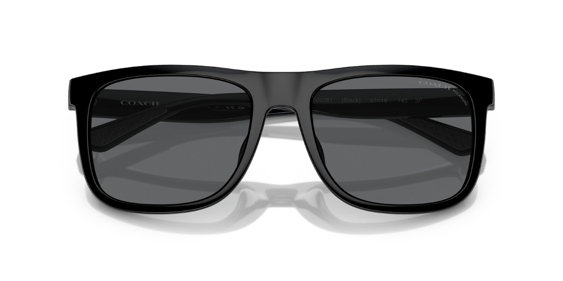 Солнцезащитные очки Coach CH581 HC8367U 500281