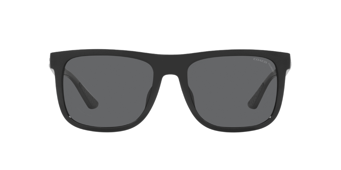 Солнцезащитные очки Coach CH581 HC8367U 500281