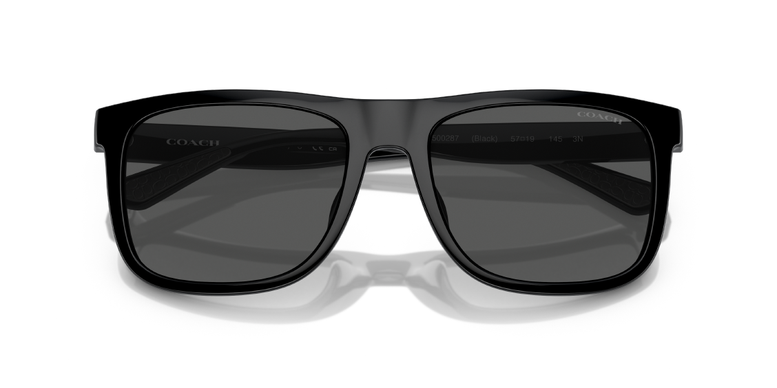 Солнцезащитные очки Coach CH581 HC8367U 500287