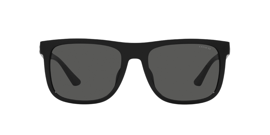 Солнцезащитные очки Coach CH581 HC8367U 500287
