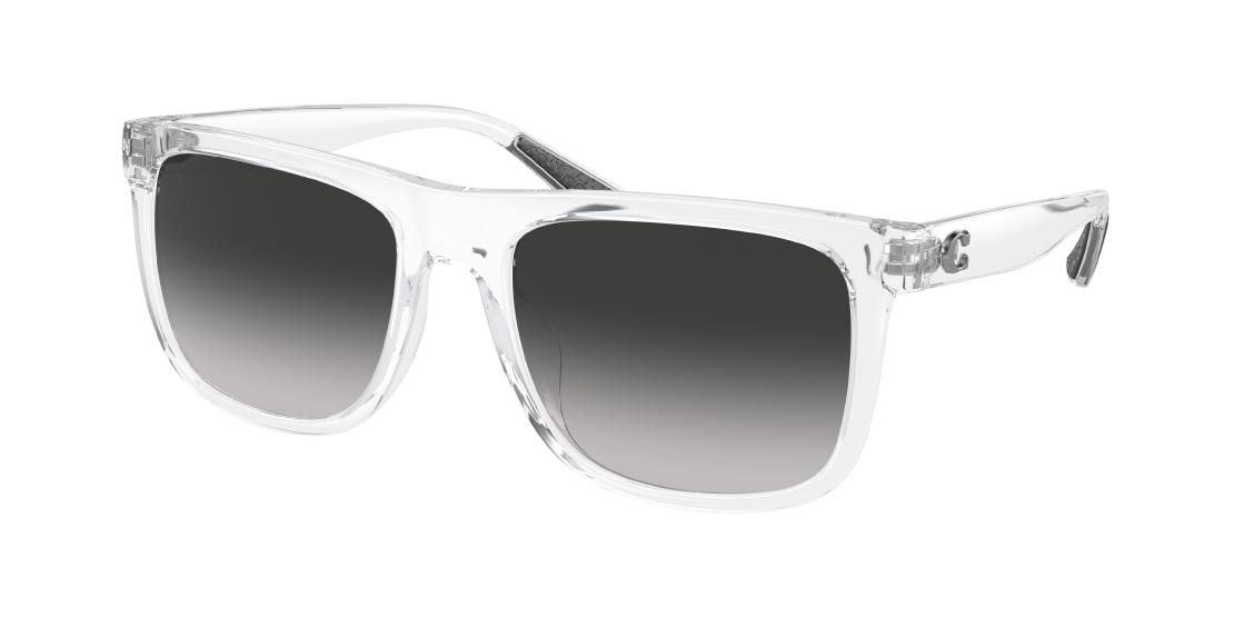 Солнцезащитные очки Coach CH581 HC8367U 51113C