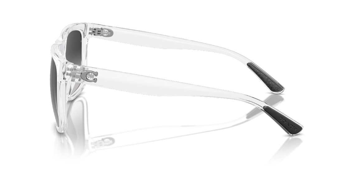 Солнцезащитные очки Coach CH581 HC8367U 51113C