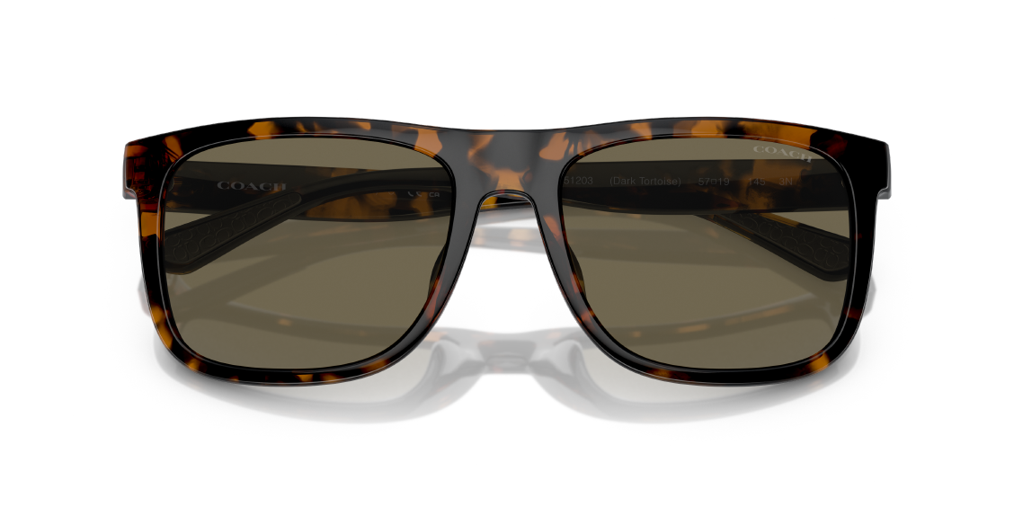 Солнцезащитные очки Coach CH581 HC8367U 51203