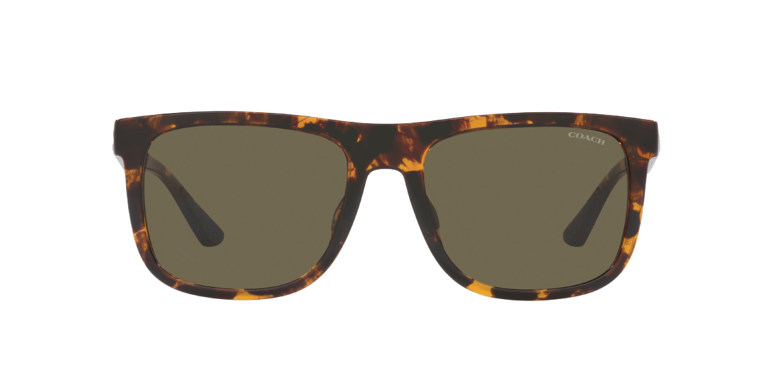 Солнцезащитные очки Coach CH581 HC8367U 51203