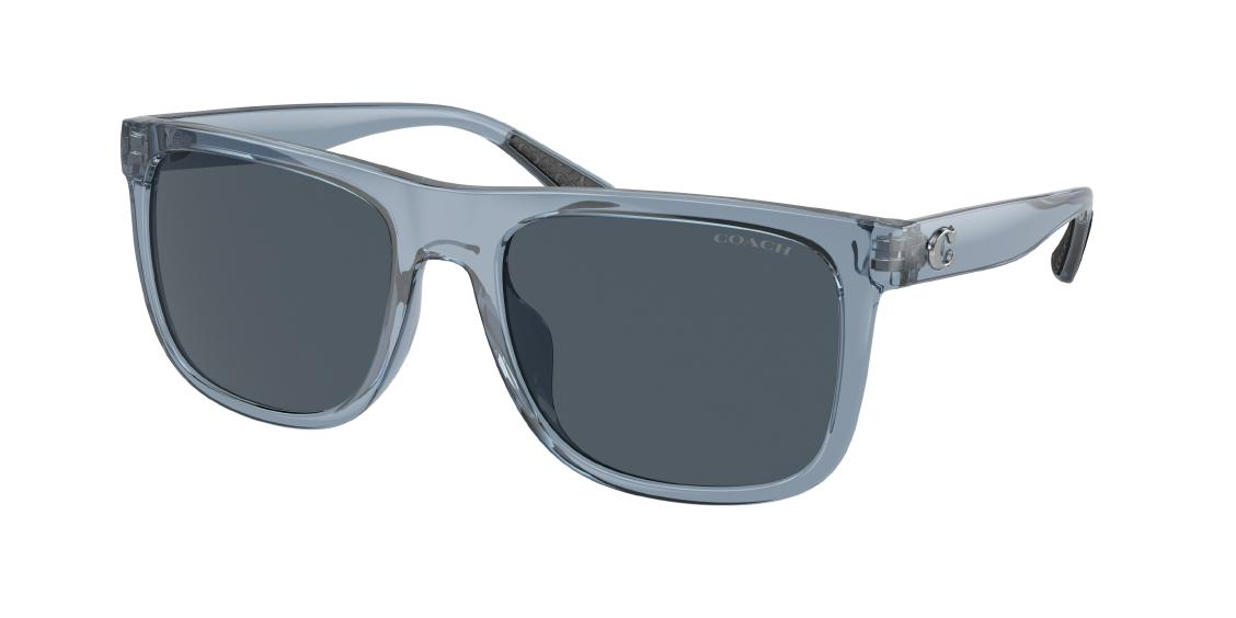 Солнцезащитные очки Coach CH581 HC8367U 575887