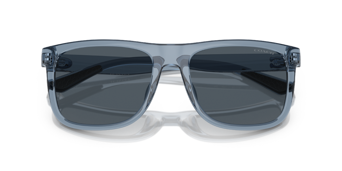 Солнцезащитные очки Coach CH581 HC8367U 575887