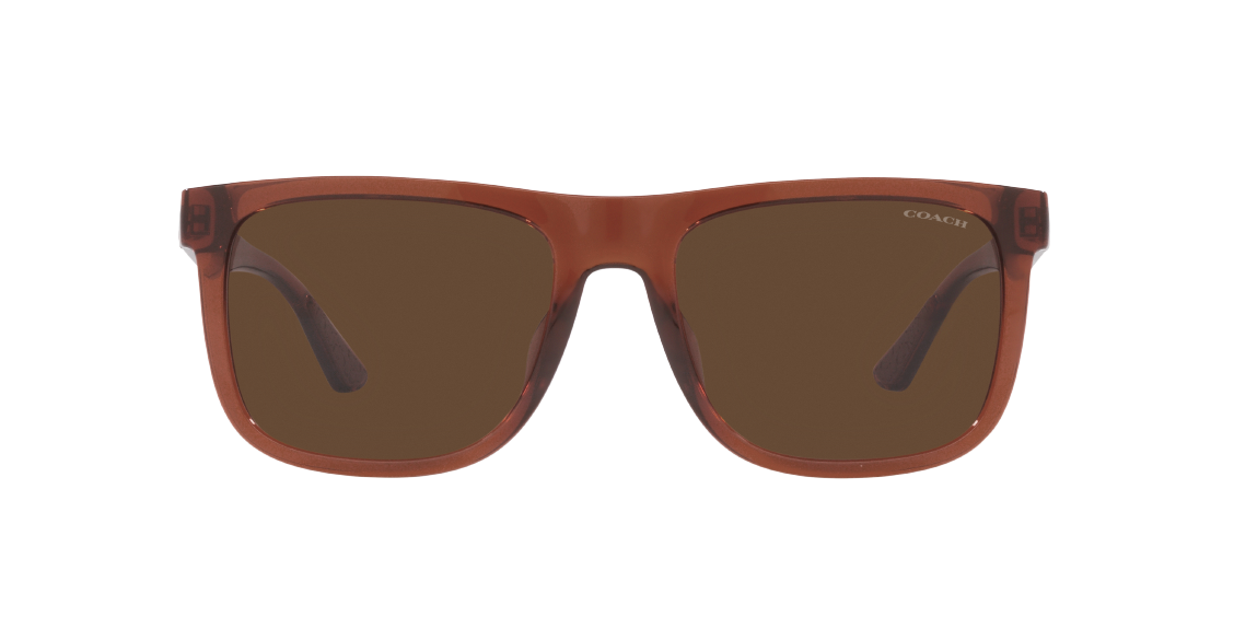 Солнцезащитные очки Coach CH581 HC8367U 57593G