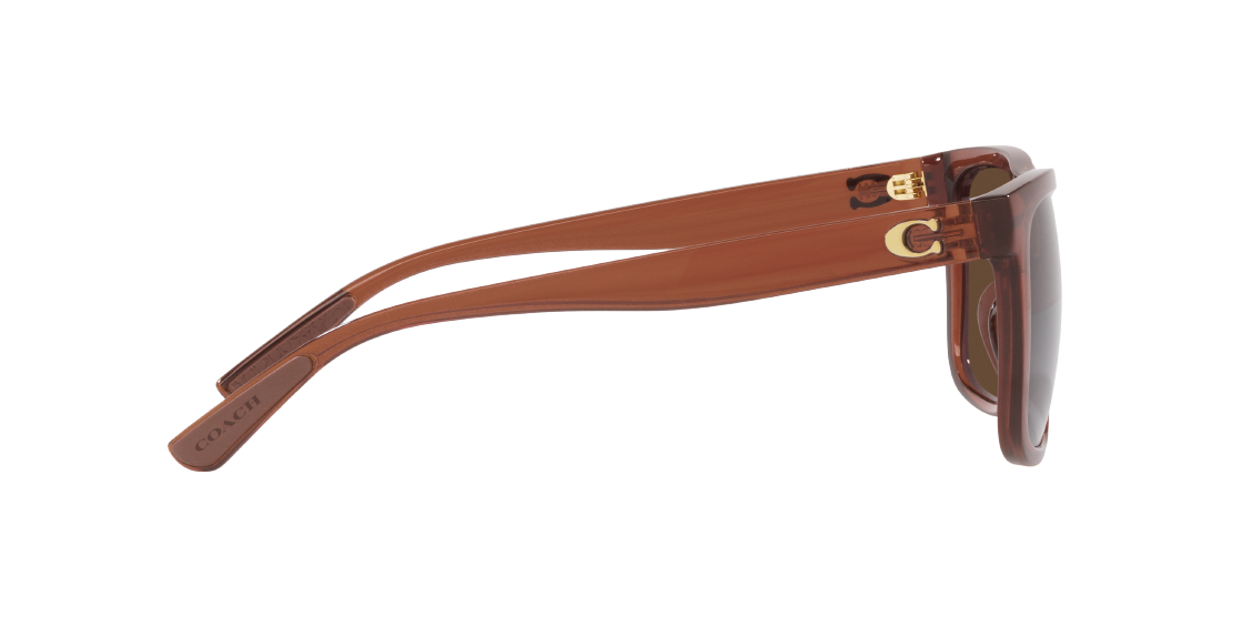 Солнцезащитные очки Coach CH581 HC8367U 57593G