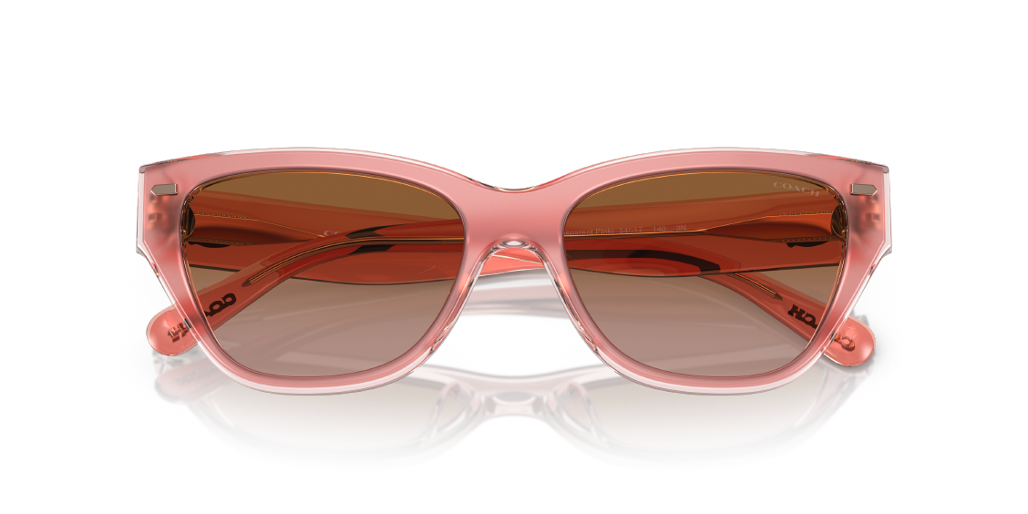 Солнцезащитные очки Coach CH570 HC8370U 574313