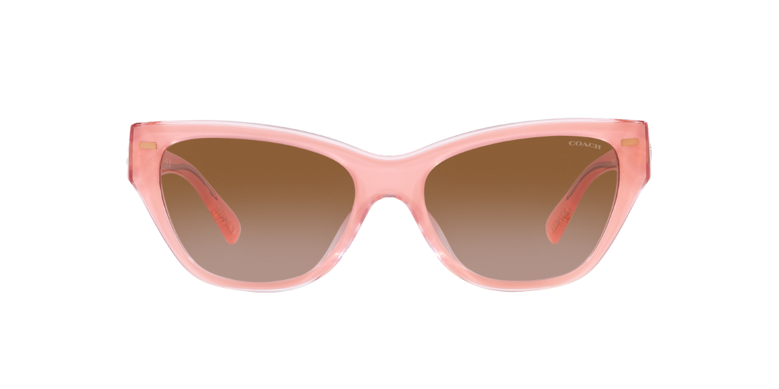 Солнцезащитные очки Coach CH570 HC8370U 574313