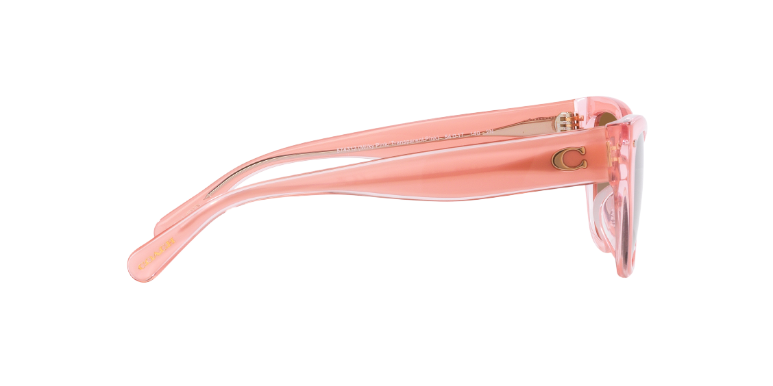 Солнцезащитные очки Coach CH570 HC8370U 574313