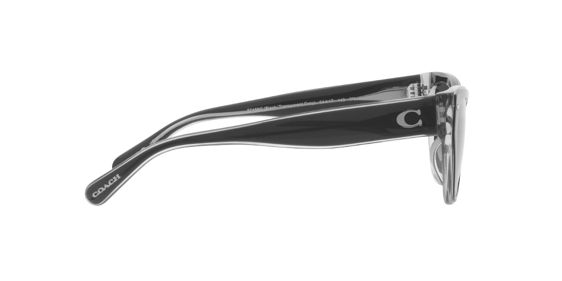 Солнцезащитные очки Coach CH570 HC8370U 57458G