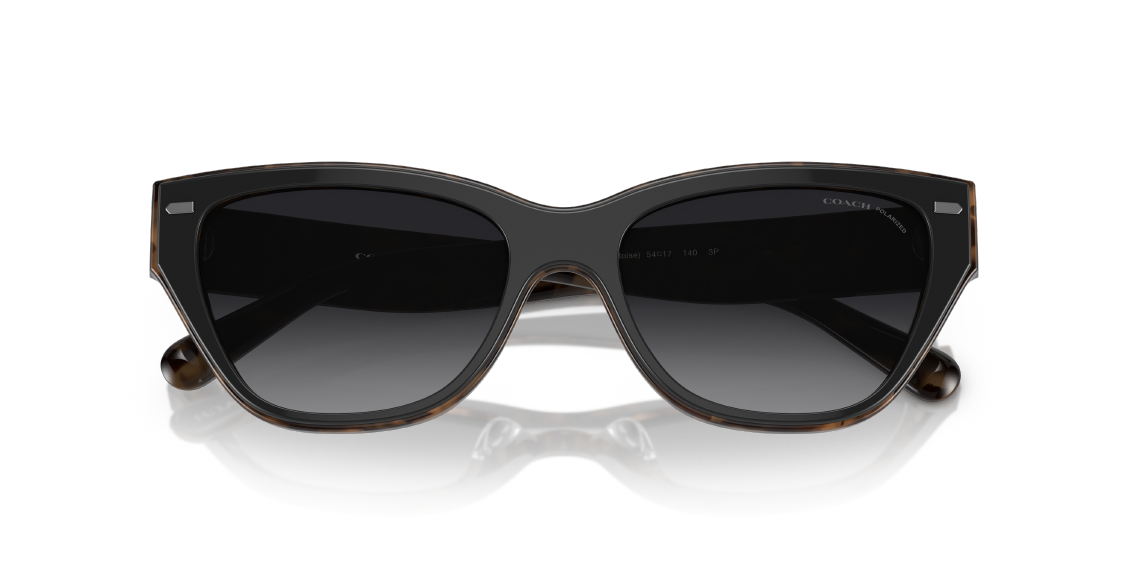 Солнцезащитные очки Coach CH570 HC8370U 5764T3