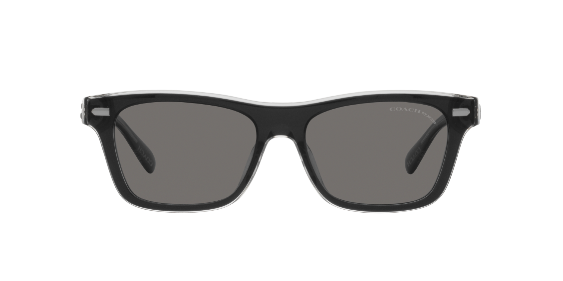 Солнцезащитные очки Coach CH583 HC8371U 574581