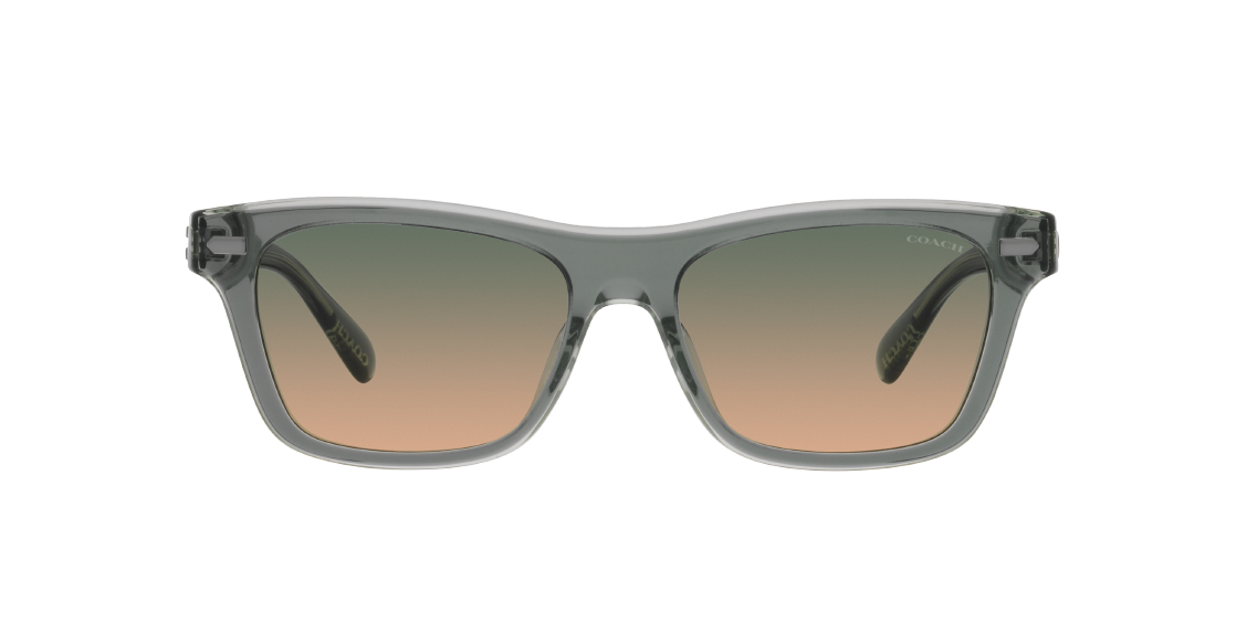 Солнцезащитные очки Coach CH583 HC8371U 574613