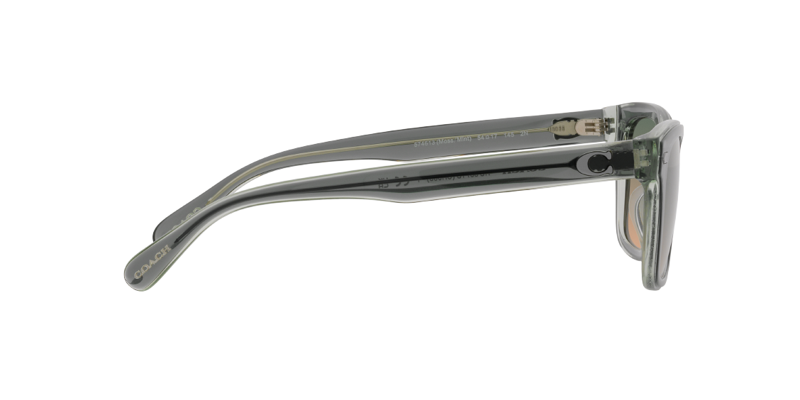 Солнцезащитные очки Coach CH583 HC8371U 574613