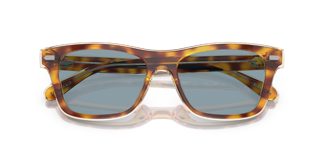 Солнцезащитные очки Coach CH583 HC8371U 575672