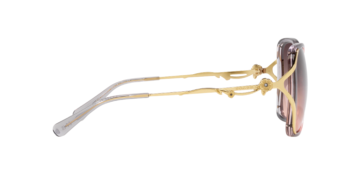 Солнцезащитные очки Coach CK482 HC8372BU 5770U8