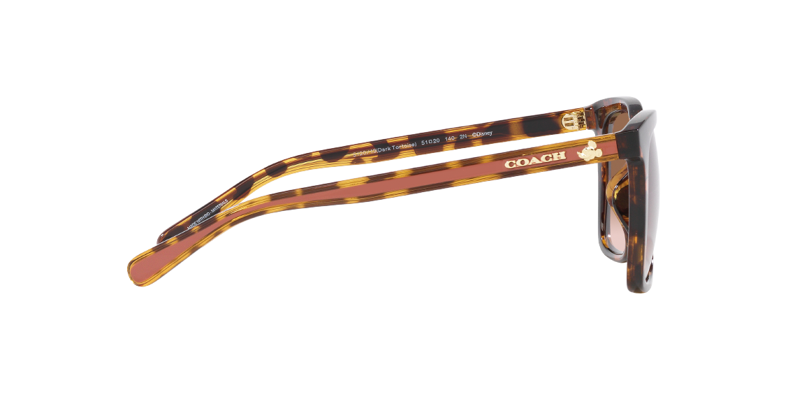 Солнцезащитные очки Coach HC8374U 512013