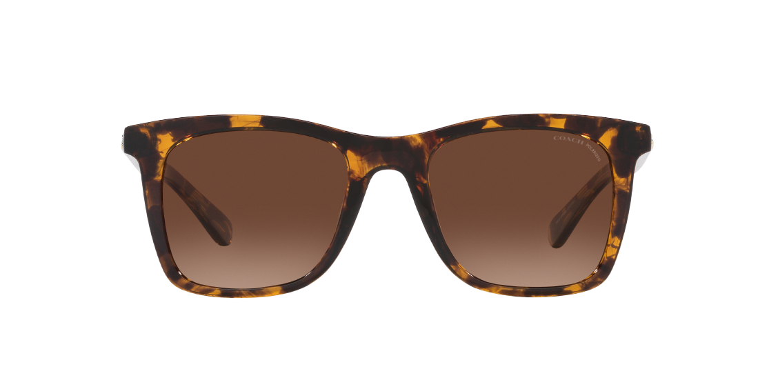 Солнцезащитные очки Coach HC8374U 5120T5