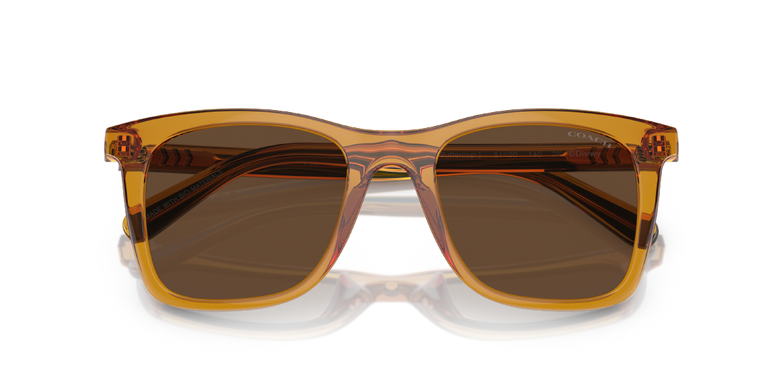 Солнцезащитные очки Coach HC8374U 57483G