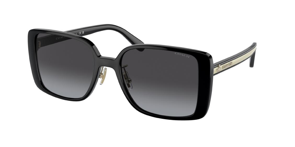 Солнцезащитные очки Coach HC8375 50028G
