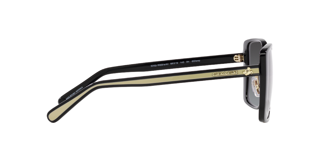 Солнцезащитные очки Coach HC8375 50028G