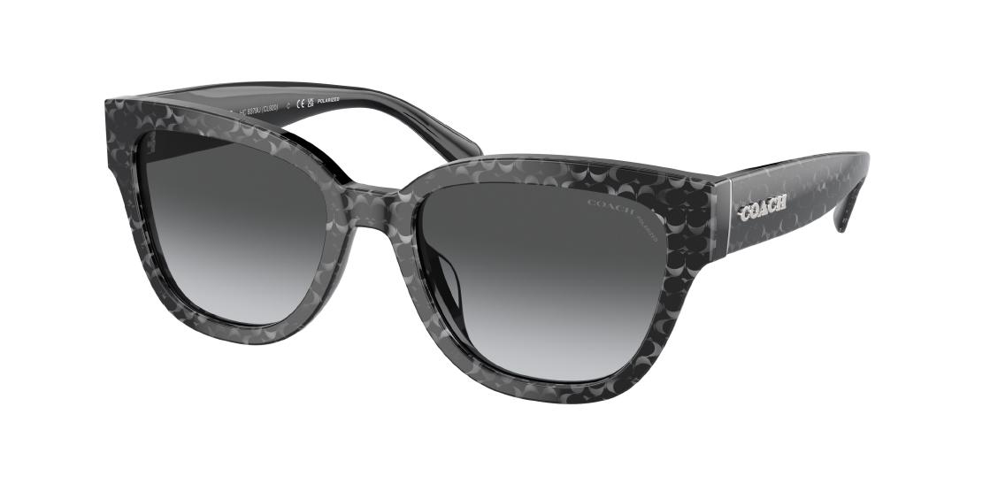 Солнцезащитные очки Coach CL923 HC8379U 5520T3