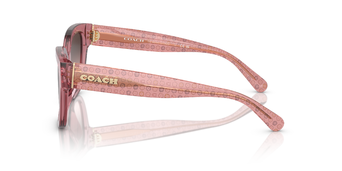 Солнцезащитные очки Coach CL923 HC8379U 580046