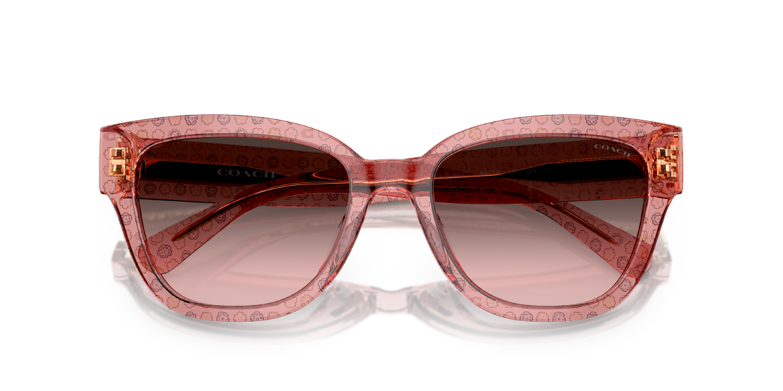Солнцезащитные очки Coach CL923 HC8379U 583646