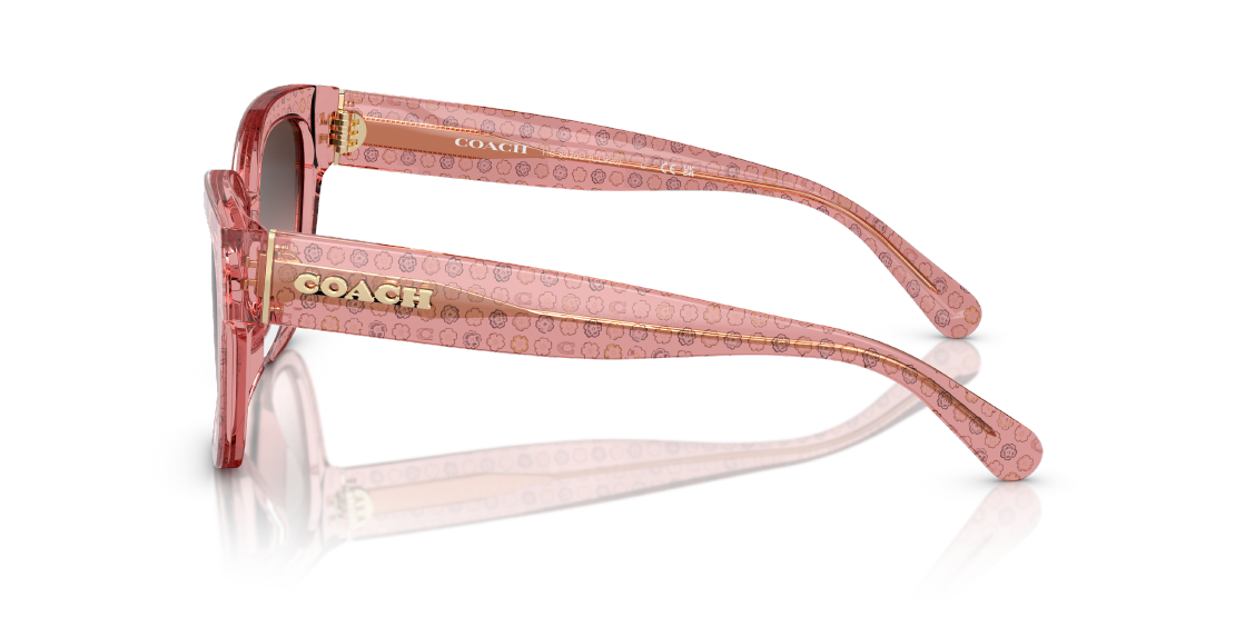 Солнцезащитные очки Coach CL923 HC8379U 583646