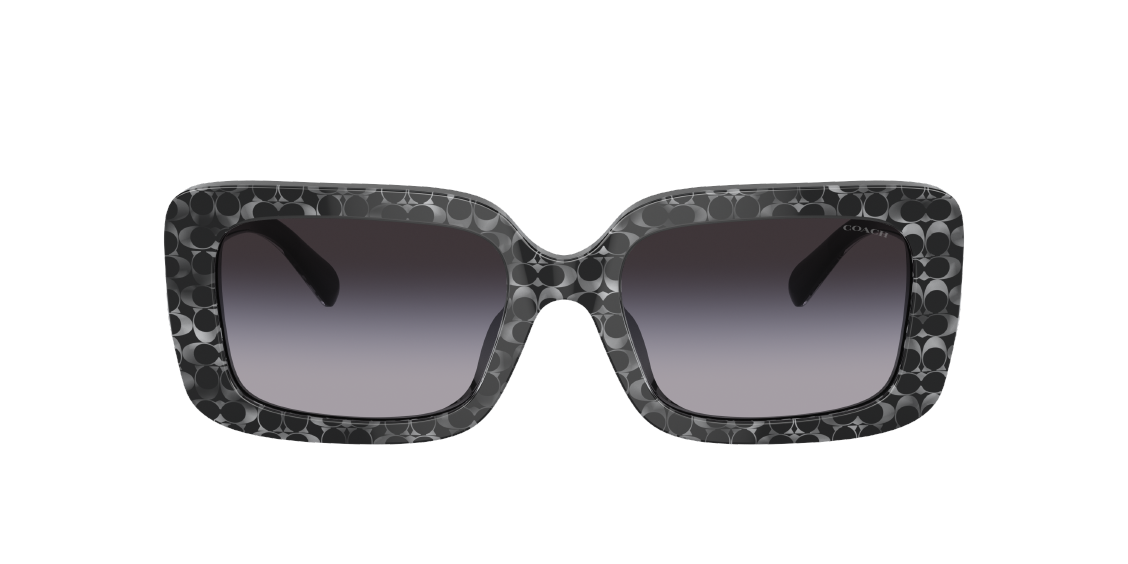 Солнцезащитные очки Coach CL922 HC8380U 55208G