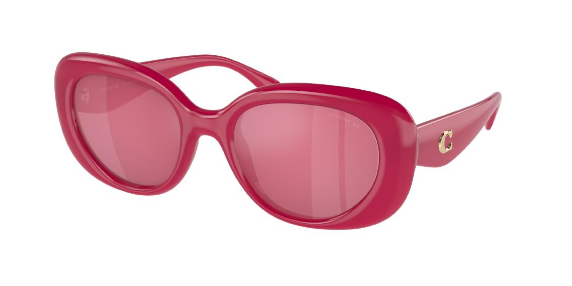 Солнцезащитные очки Coach CR609 HC8391U 58069L