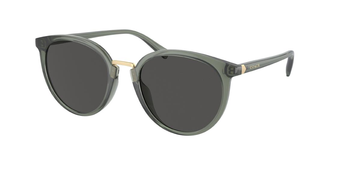 Солнцезащитные очки Coach CR646 HC8399U 582187