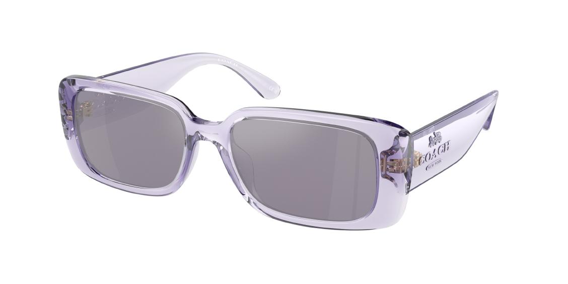 Солнцезащитные очки Coach CR645 HC8402U 58342S