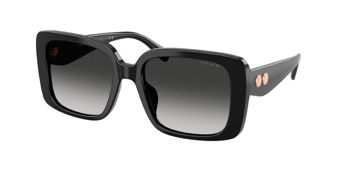 Солнцезащитные очки Coach HC8424U 50023C