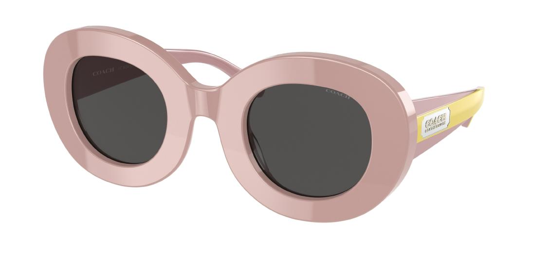 Солнцезащитные очки Coach C7157 HC9024 566987