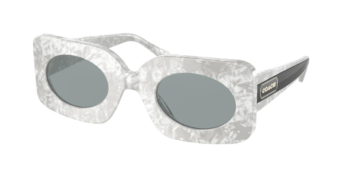 Солнцезащитные очки Coach HC9025 570301