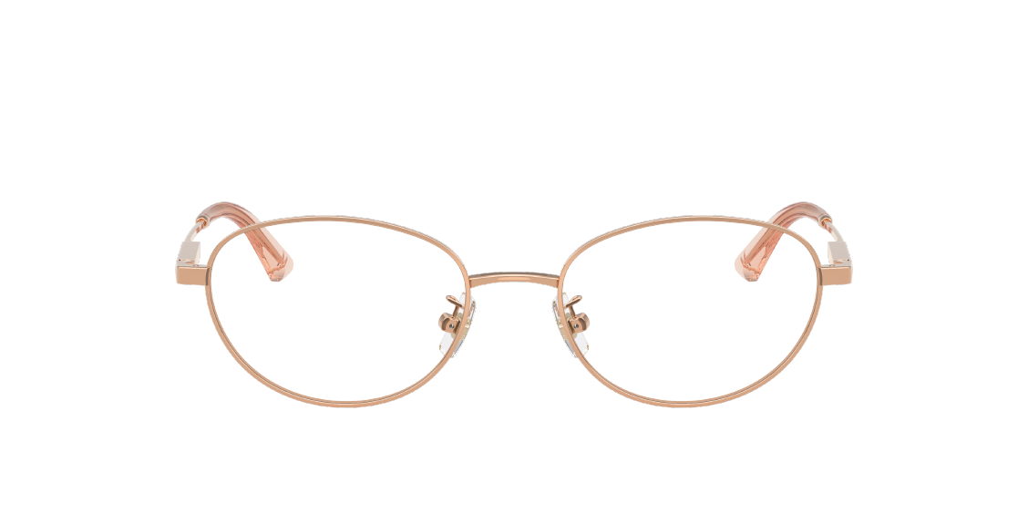 Оптическая оправа Jimmy Choo JC2009D 3008