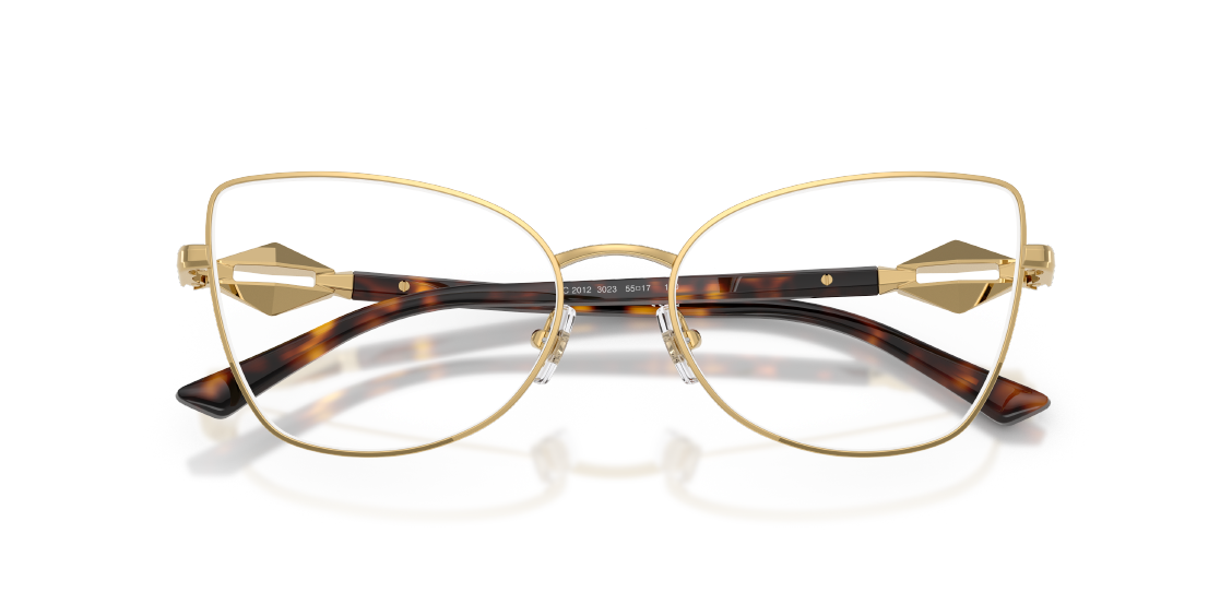 Оптическая оправа Jimmy Choo JC2012 3023