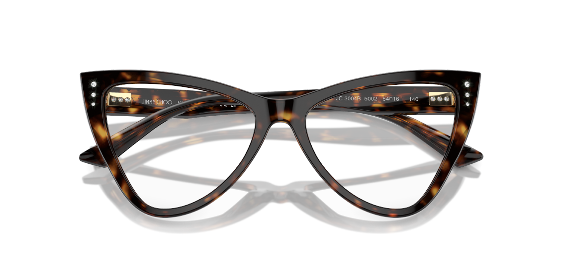 Оптическая оправа Jimmy Choo JC3004B 5002