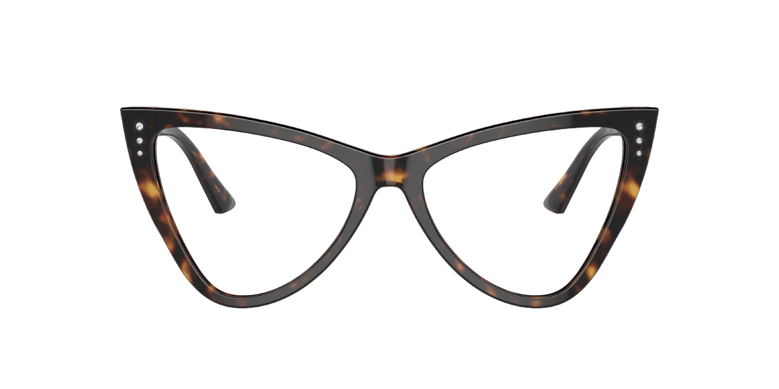 Оптическая оправа Jimmy Choo JC3004B 5002