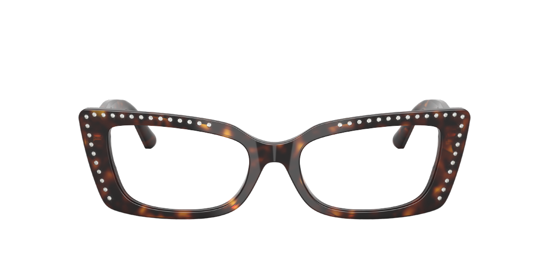 Оптическая оправа Jimmy Choo JC3018B 5002