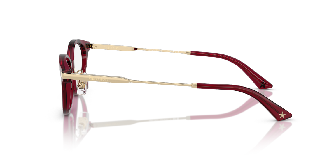 Оптическая оправа Jimmy Choo JC3029D 5062