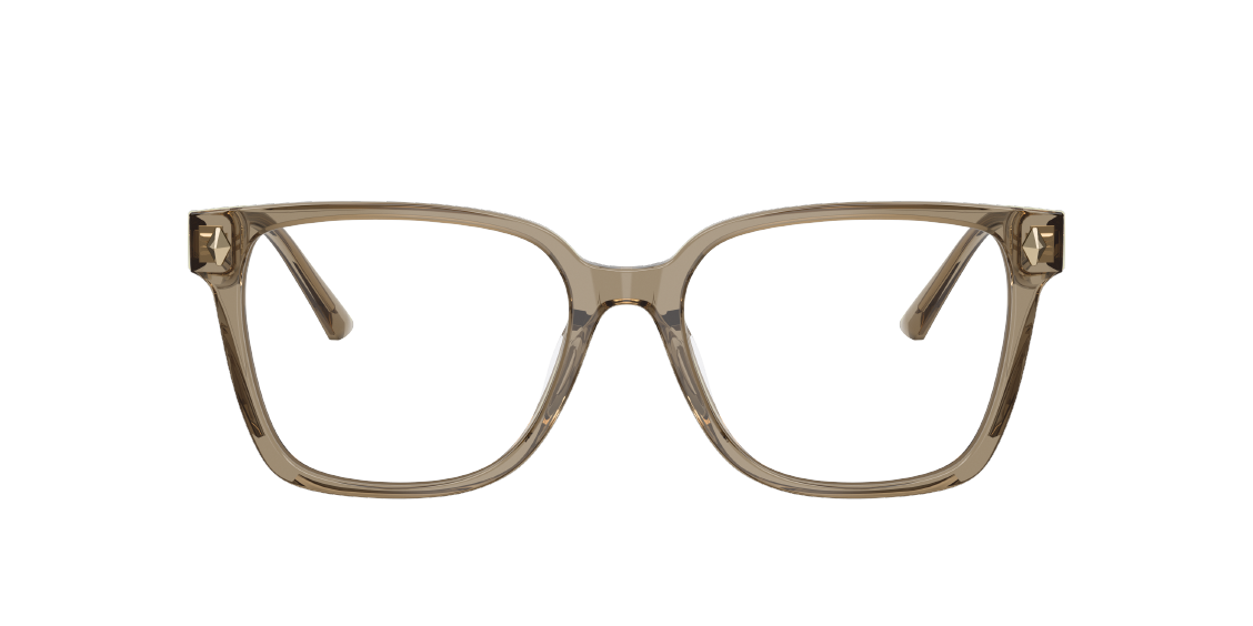 Оптическая оправа Jimmy Choo JC3038D 5051