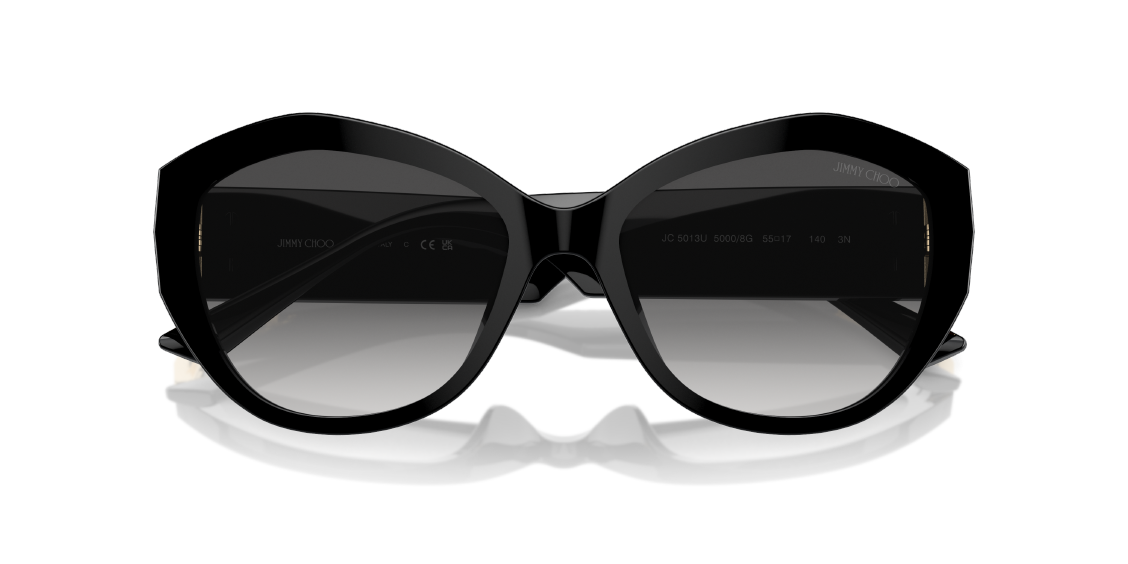 Солнцезащитные очки Jimmy Choo JC5013U 50008G