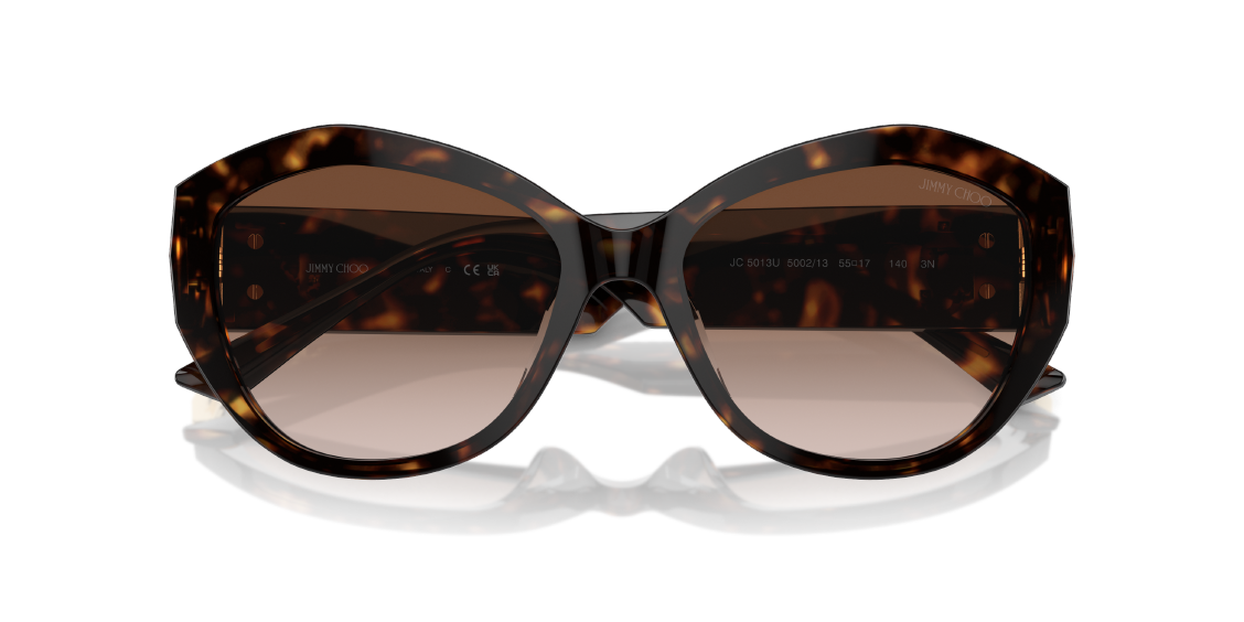 Солнцезащитные очки Jimmy Choo JC5013U 500213