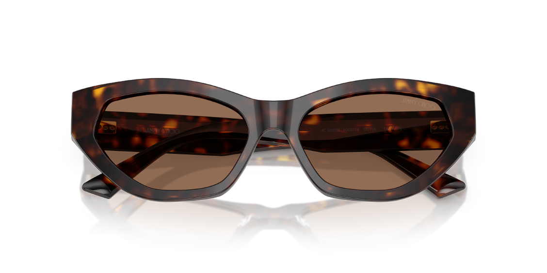 Солнцезащитные очки Jimmy Choo JC5022B 500273
